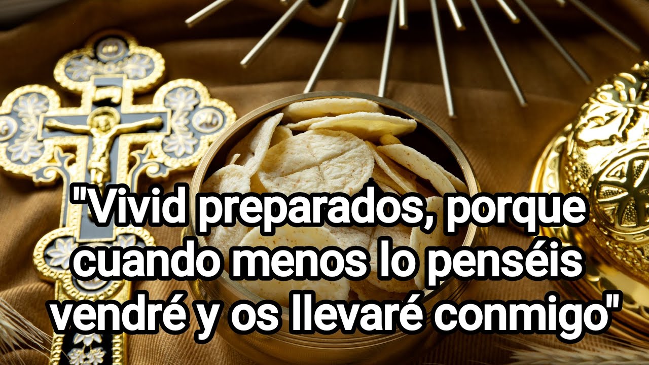 Jesús dice: 