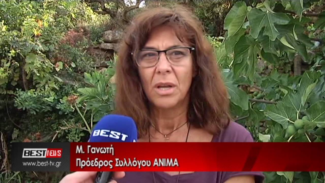 ΙΕΡΟ ΚΑΘΙΣΜΑ ΜΕΤΑΜΟΡΦΩΣΕΩΣ - ΔΟΛΟΙ ΜΕΣΣΗΝΙΑΣ