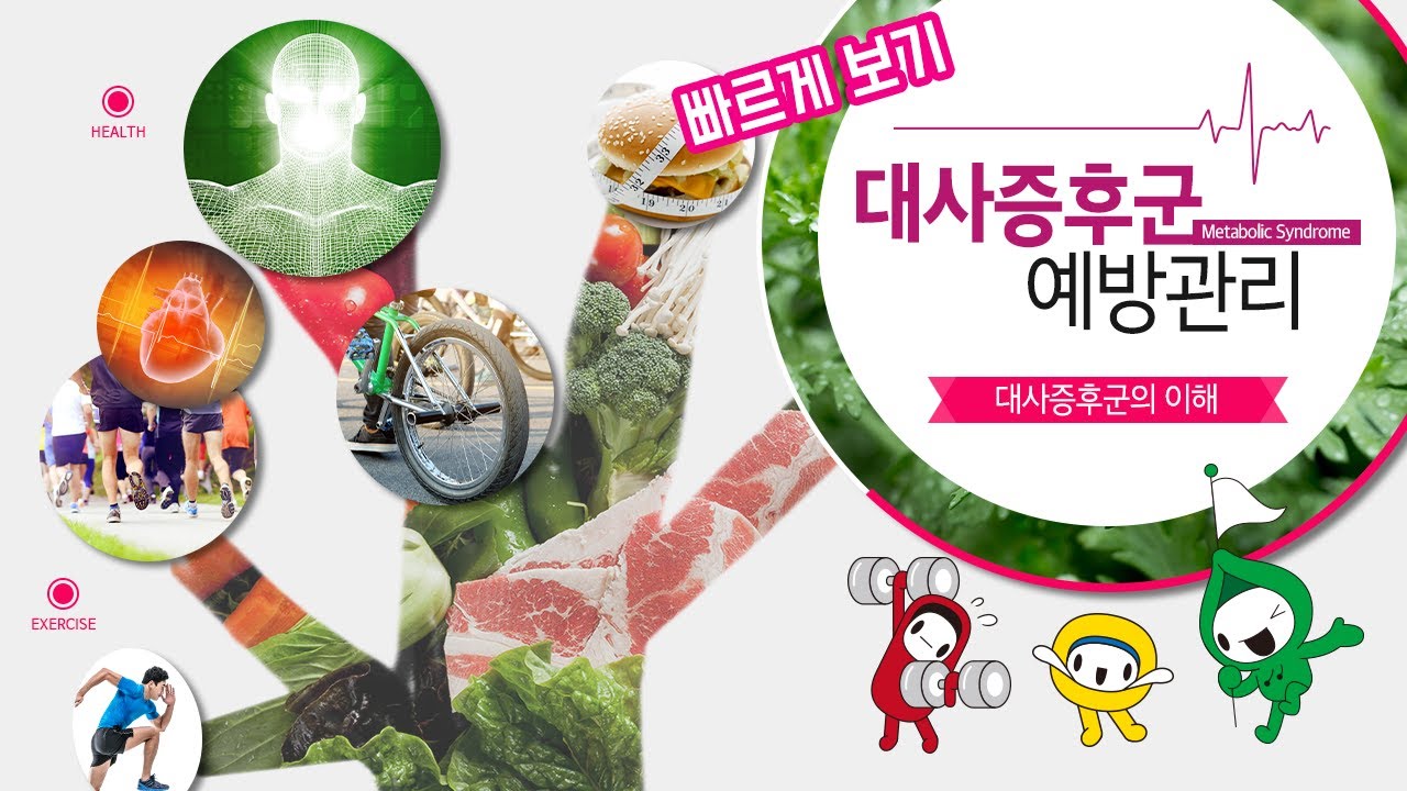 [빠르게보기] 대사증후군의 이해 (고려대학교 김양현 교수)