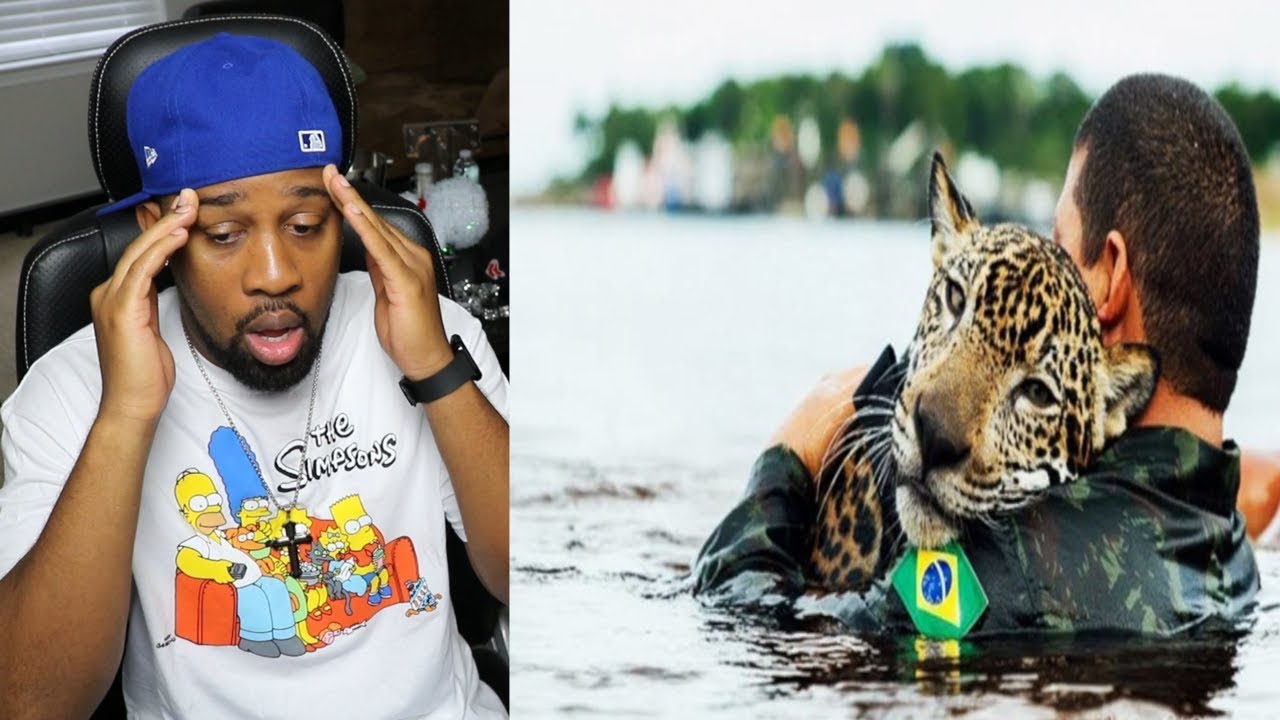 10 Most Inspiring Animal Rescues - REACTION