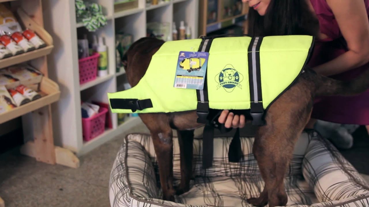 Dog Clothing Guide : Dog Tips & Tricks