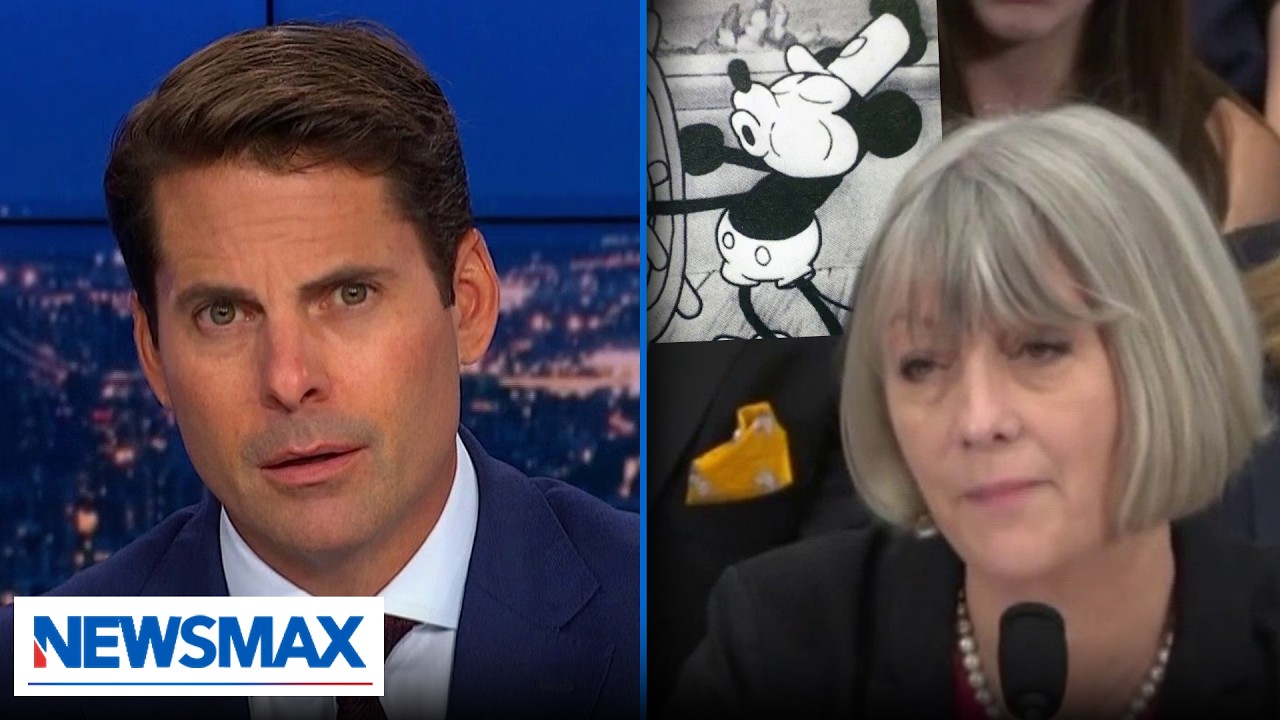 Nutty libs' anti-white nonsense exposed again: Finnerty