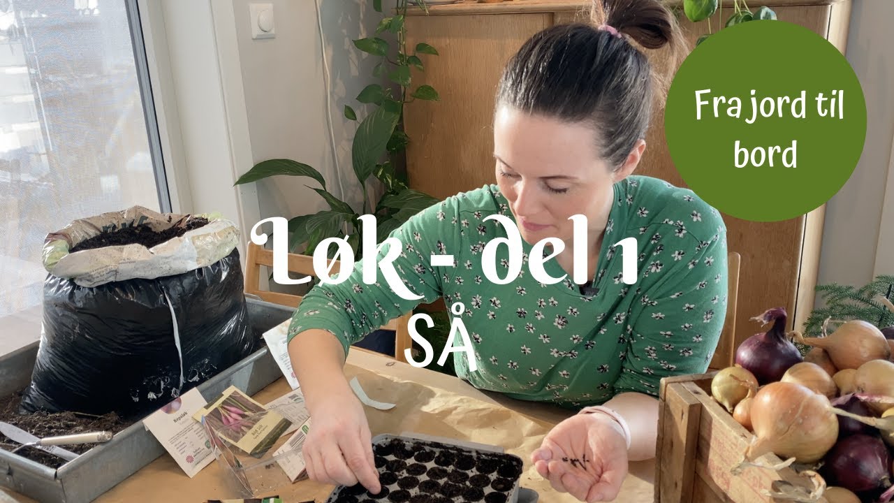 LØK fra jord til bord - del 1 SÅ