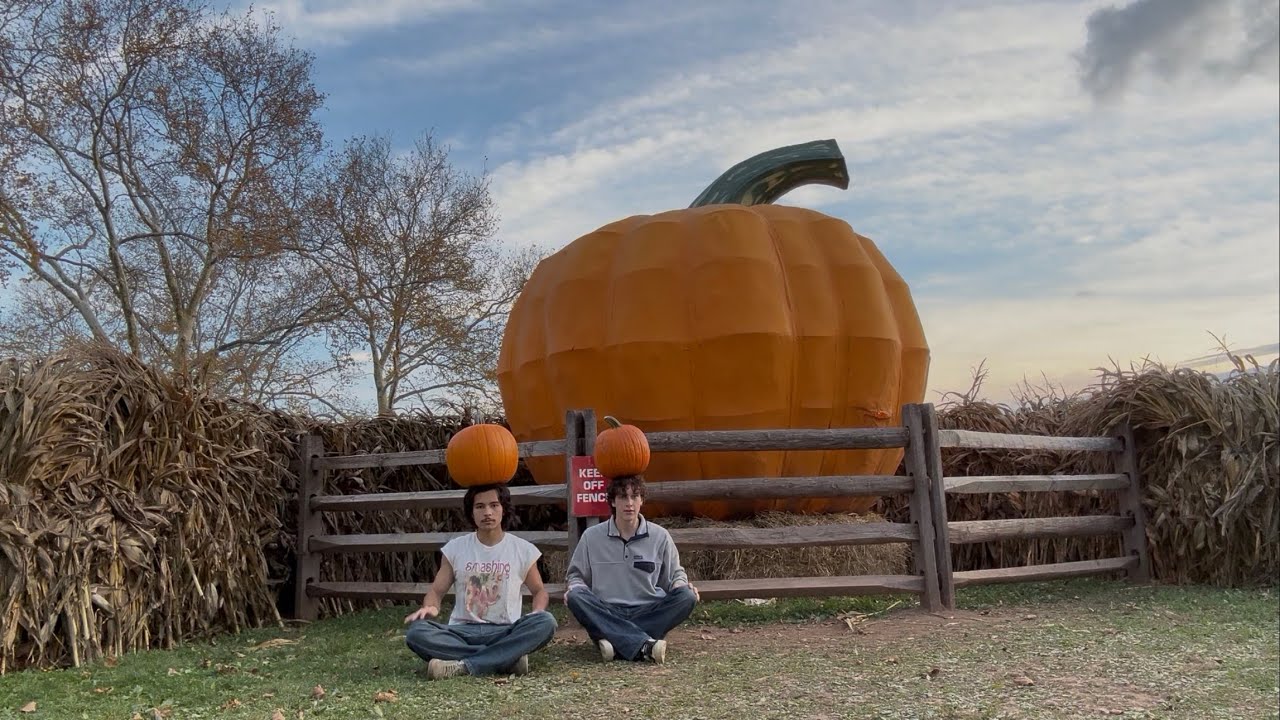 fall vibes