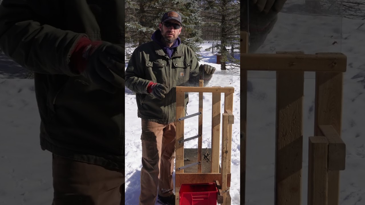 Goat Milking stand, DIY #shorts