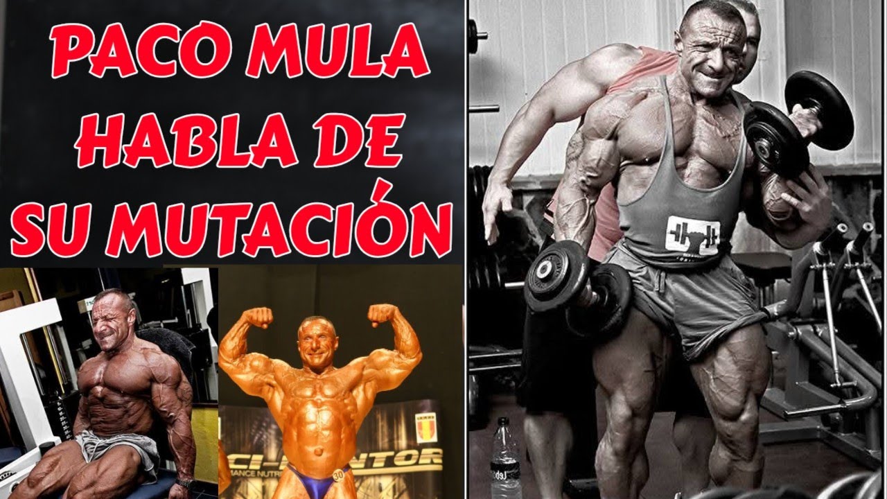 ‼️PACO MULA nos cuenta como MUTÓ, increíble lo que nos cuenta‼️