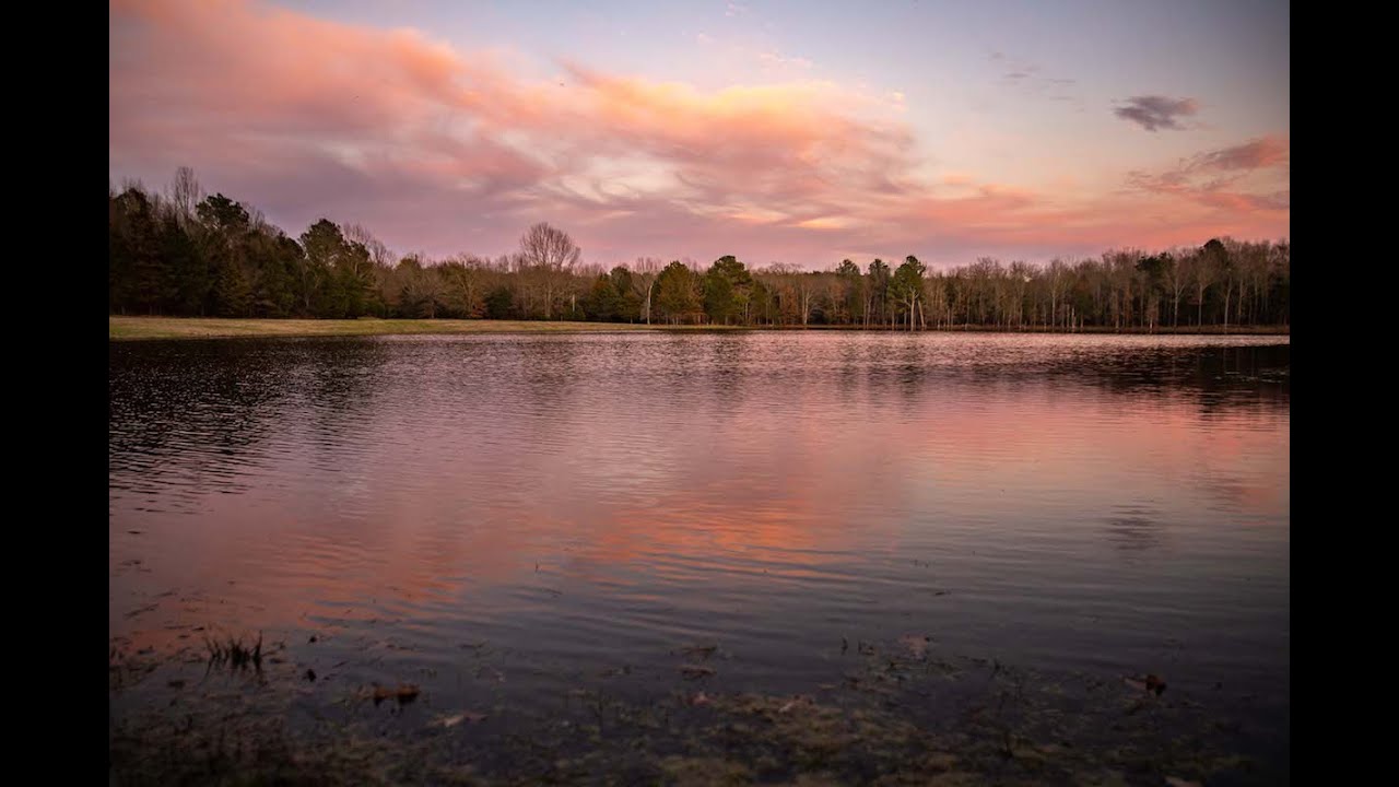 Pine Lakes Ranch | East Texas Ranch for Sale