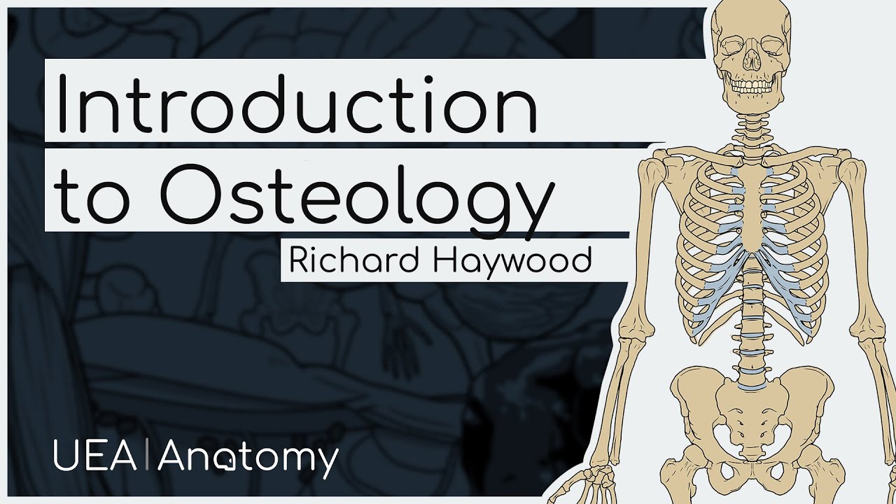 Introduction to Osteology