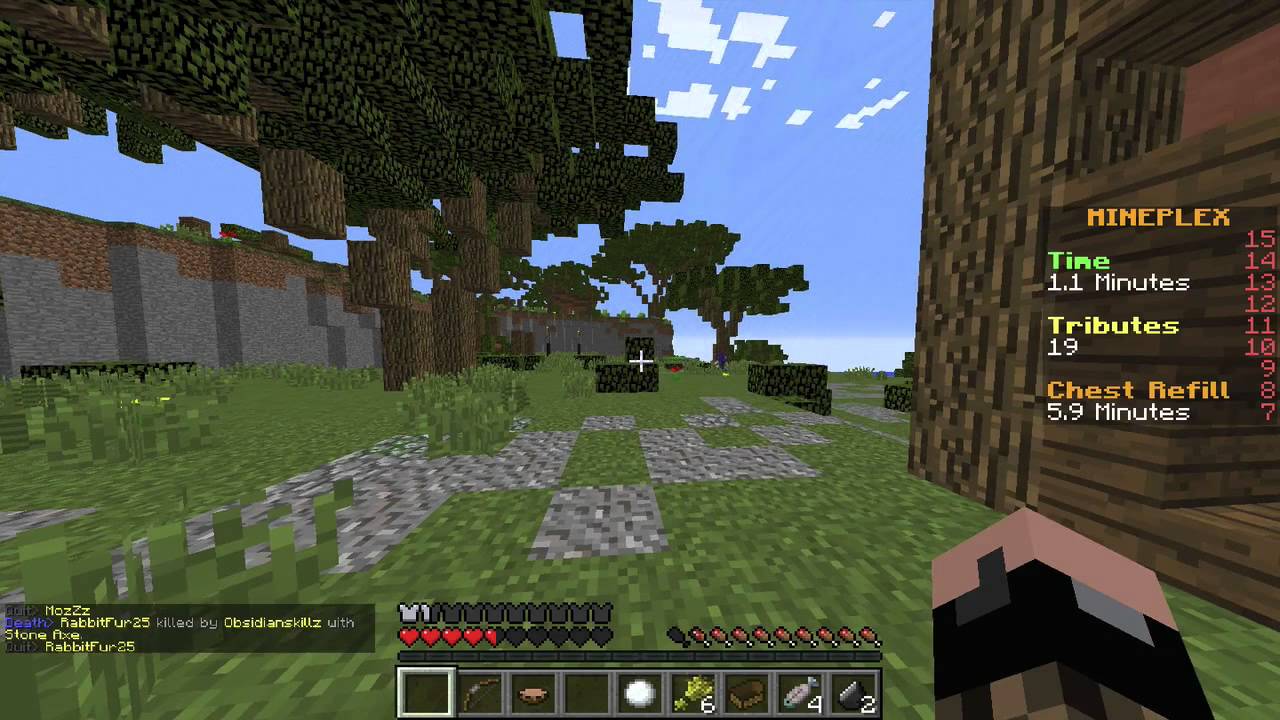 Minecraft Survival Games 
