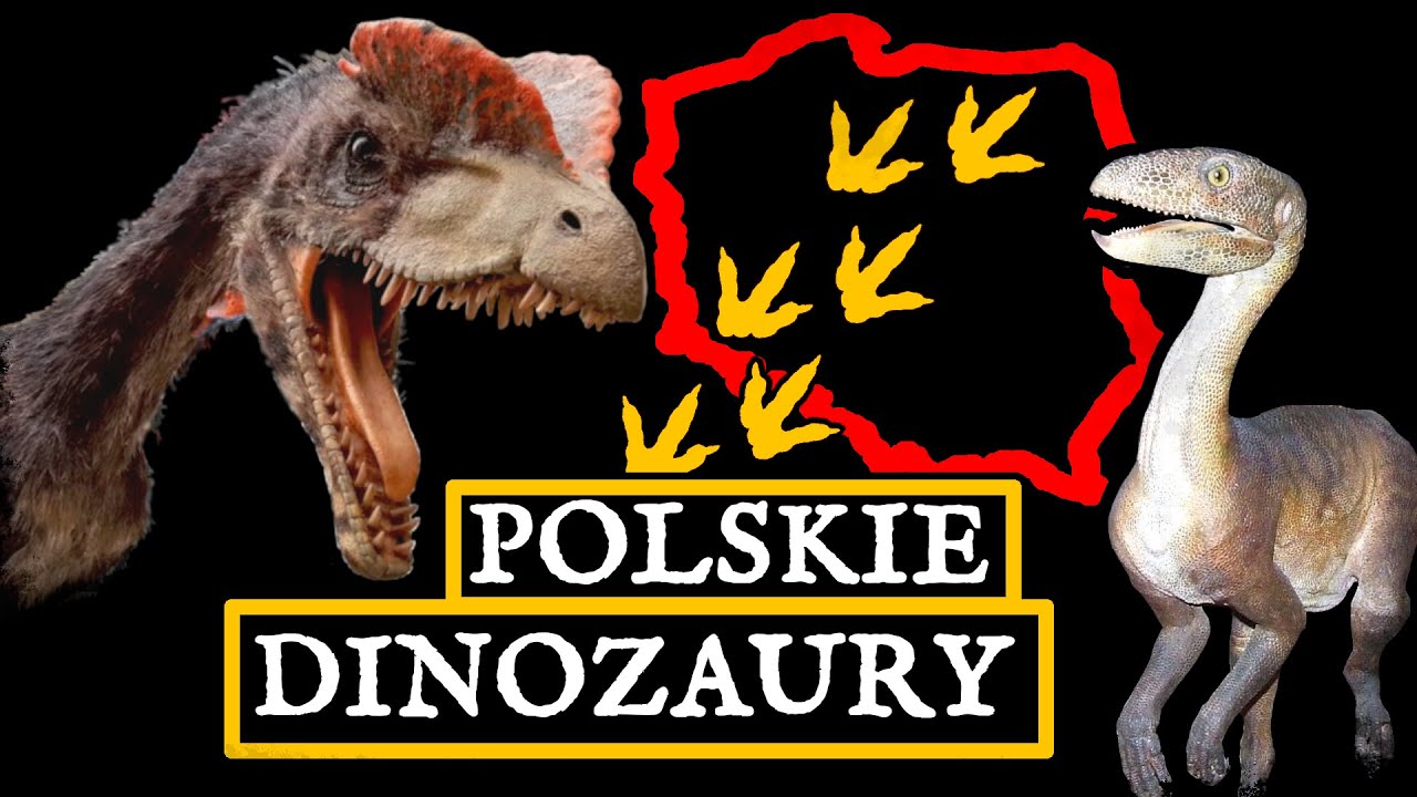 Gdzie w Polsce żyły dinozaury?