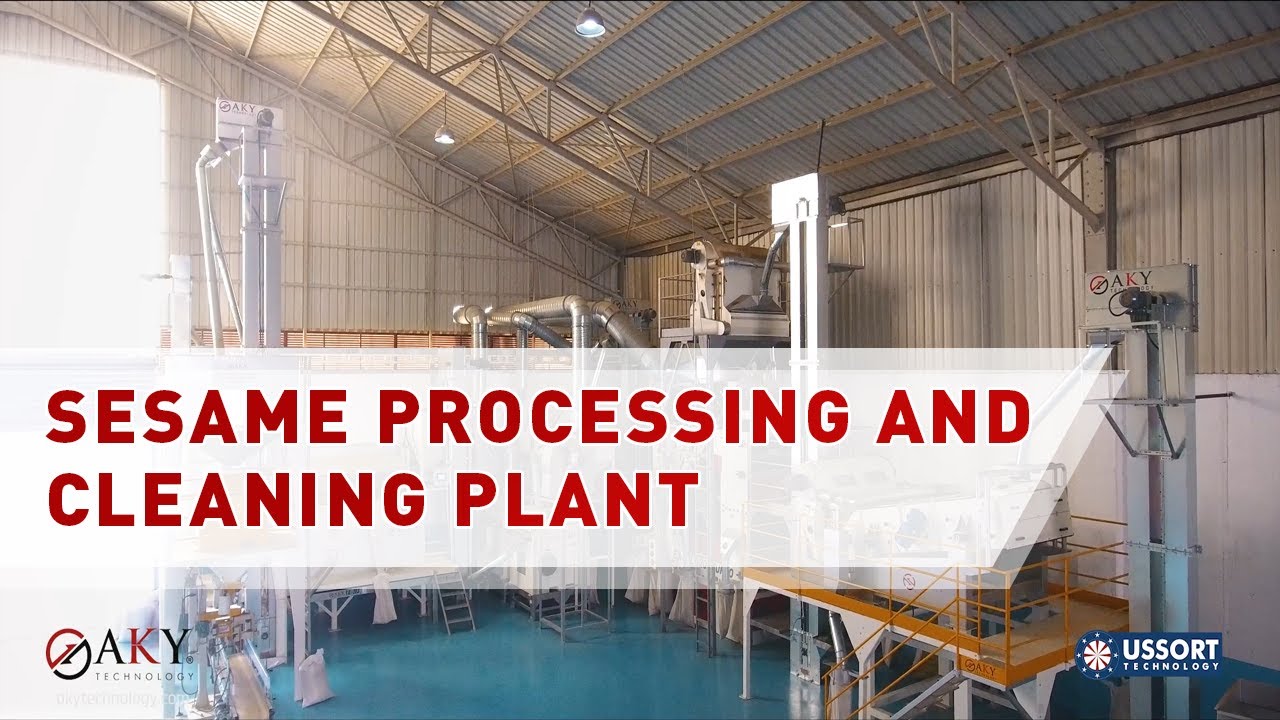 Sesame Processing and Cleaning Plant - AKY Technology