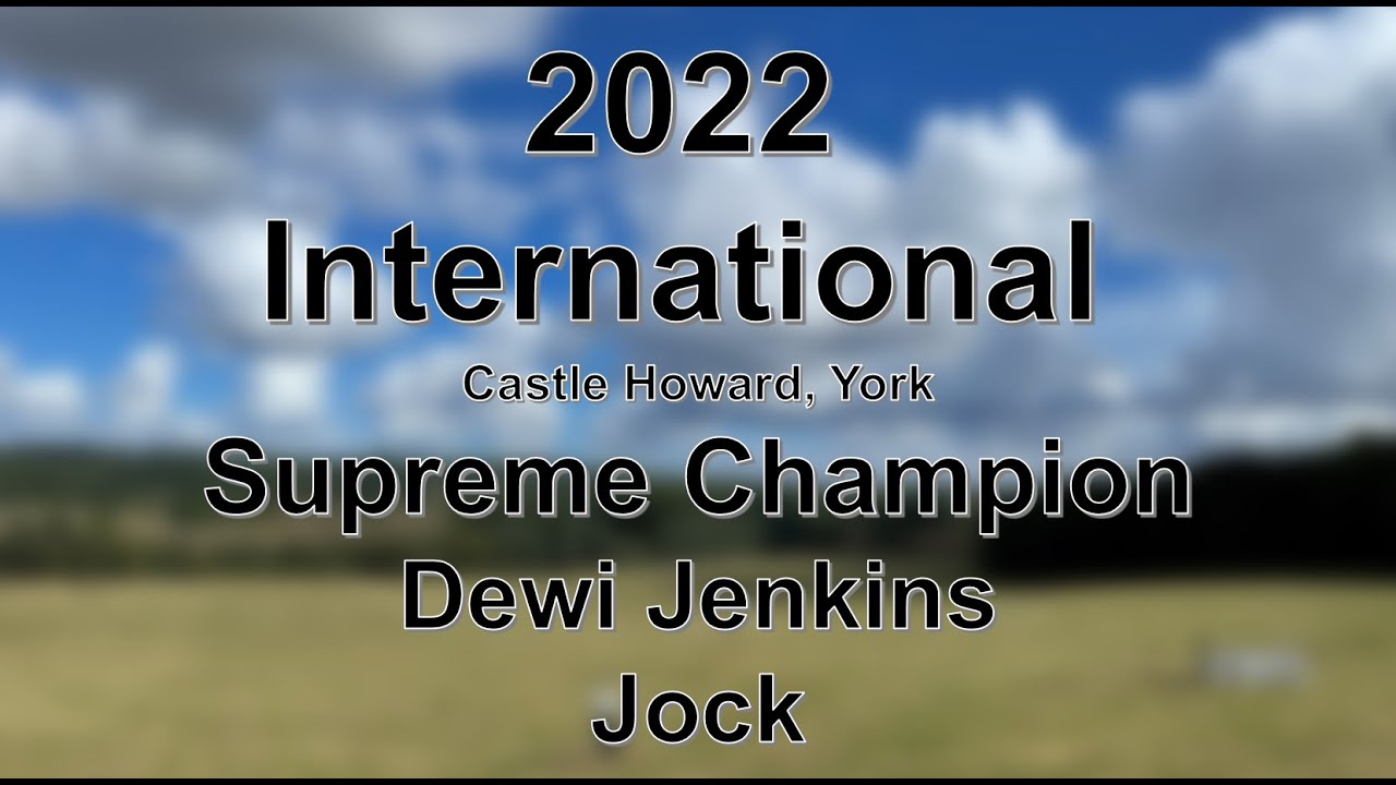 Dewi Jenkins & Jock - 2022 International Sheep Dog Trials - Supreme Champion