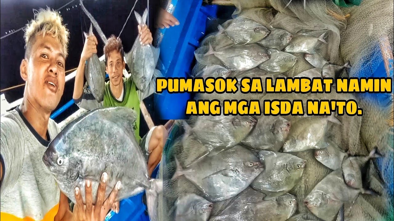 NAKA JACKPOT PA SA MGA ISDANG PAMPANO | catching squid | fish.