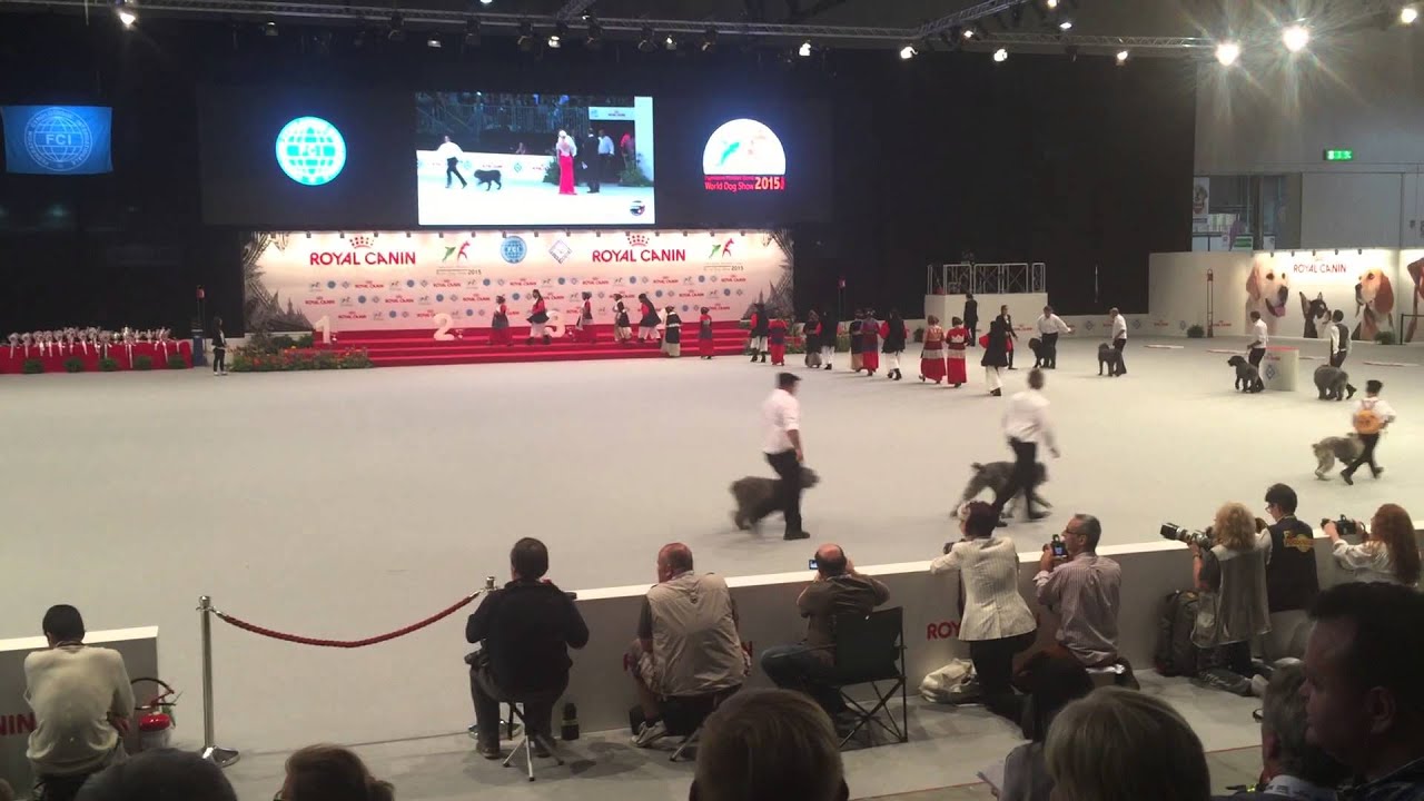 Presentazione cane Fonnese al world dog show 2015 Milano, con il gruppo folk brathallos di Fonni .