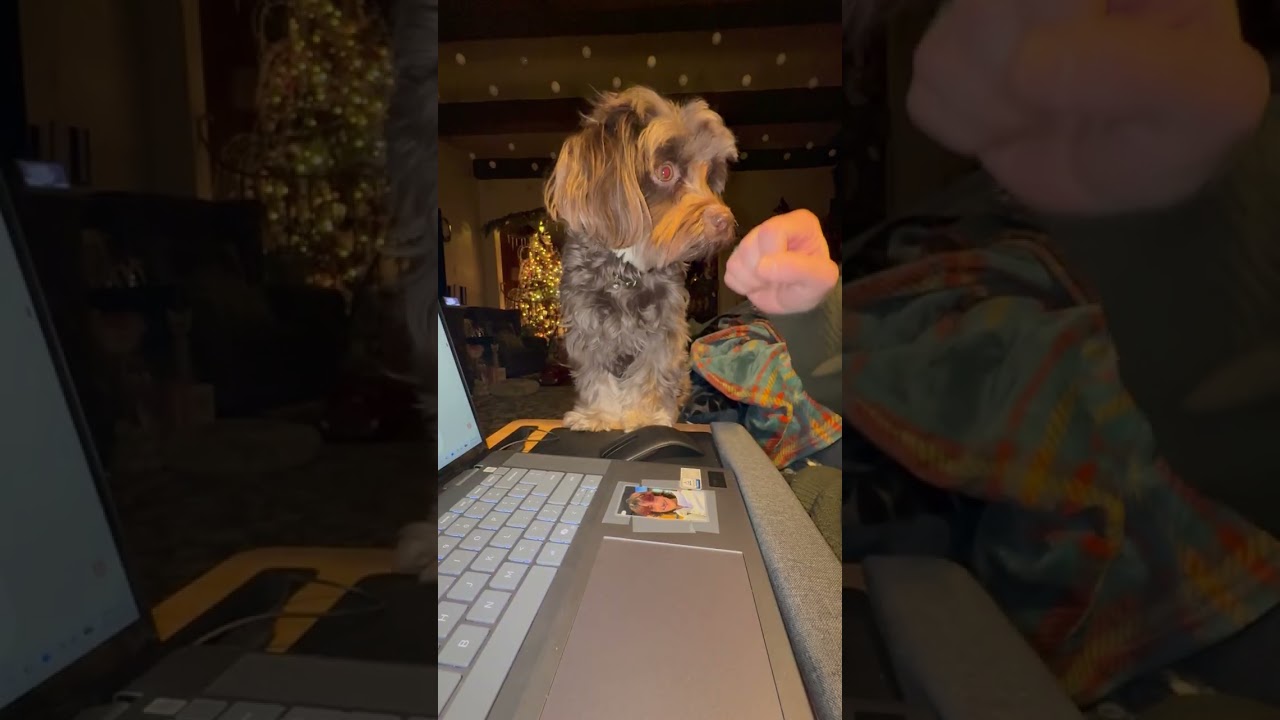 Mocha Kai Bedoya talks about NO work
