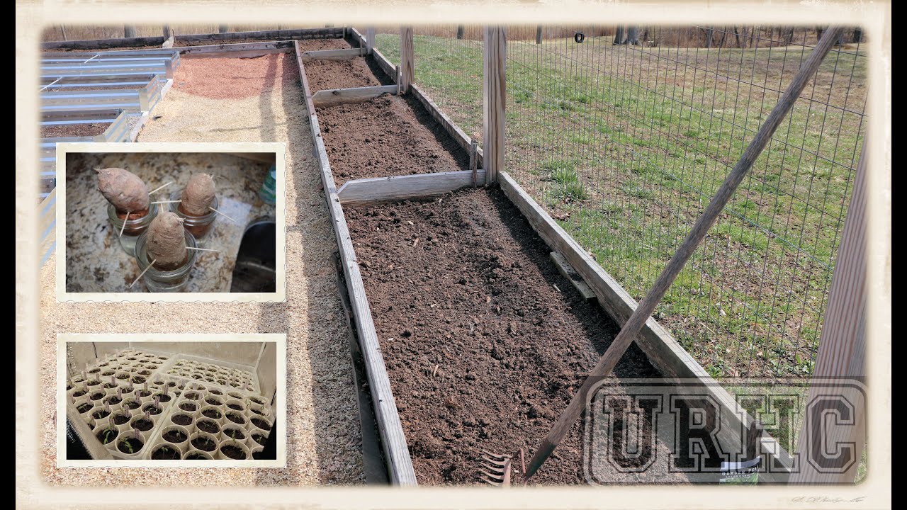 Garden 2021 Part1 Getting Started Outside