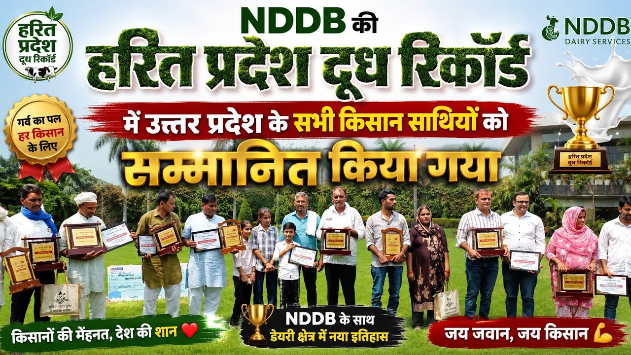 Nddb की हरित प्रदेश में मुर्रा भैंस में मवाना के सत्यकरण जी की भेस फर्स्ट 1लाख का इनाम #farming 