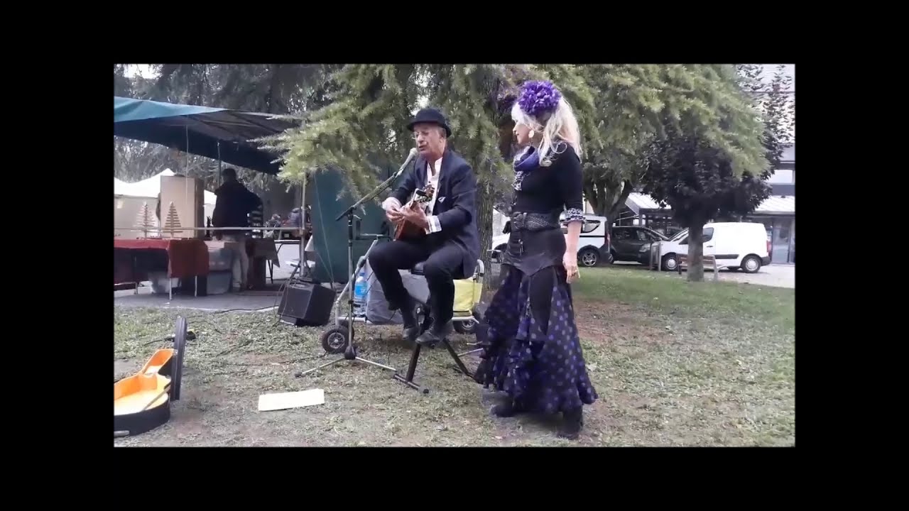 La Chanson des vieux amants par le 