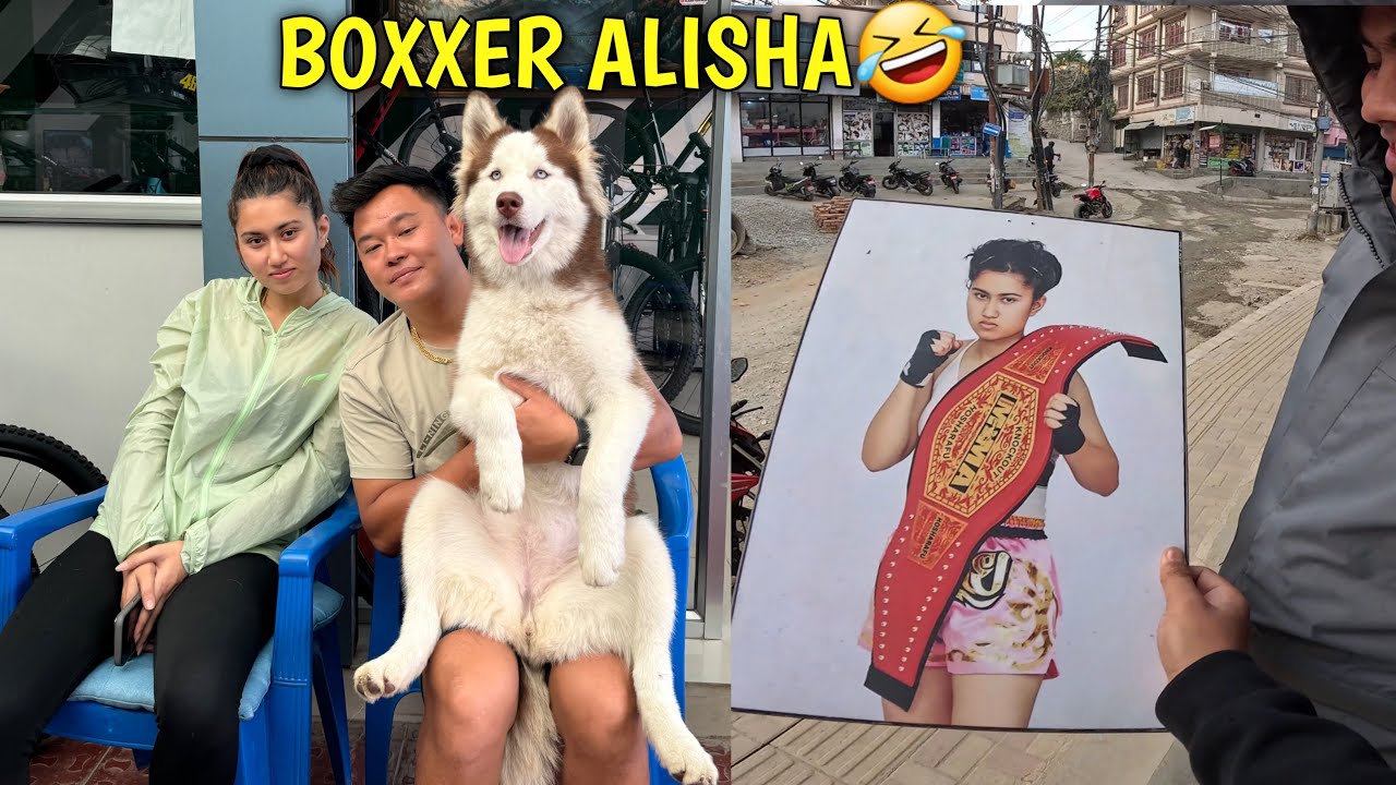 ALISHA LAI PURANO PHOTO DEKHAYERA JISKAUDAI🤣 / OLD BOXXER ALISHA / 