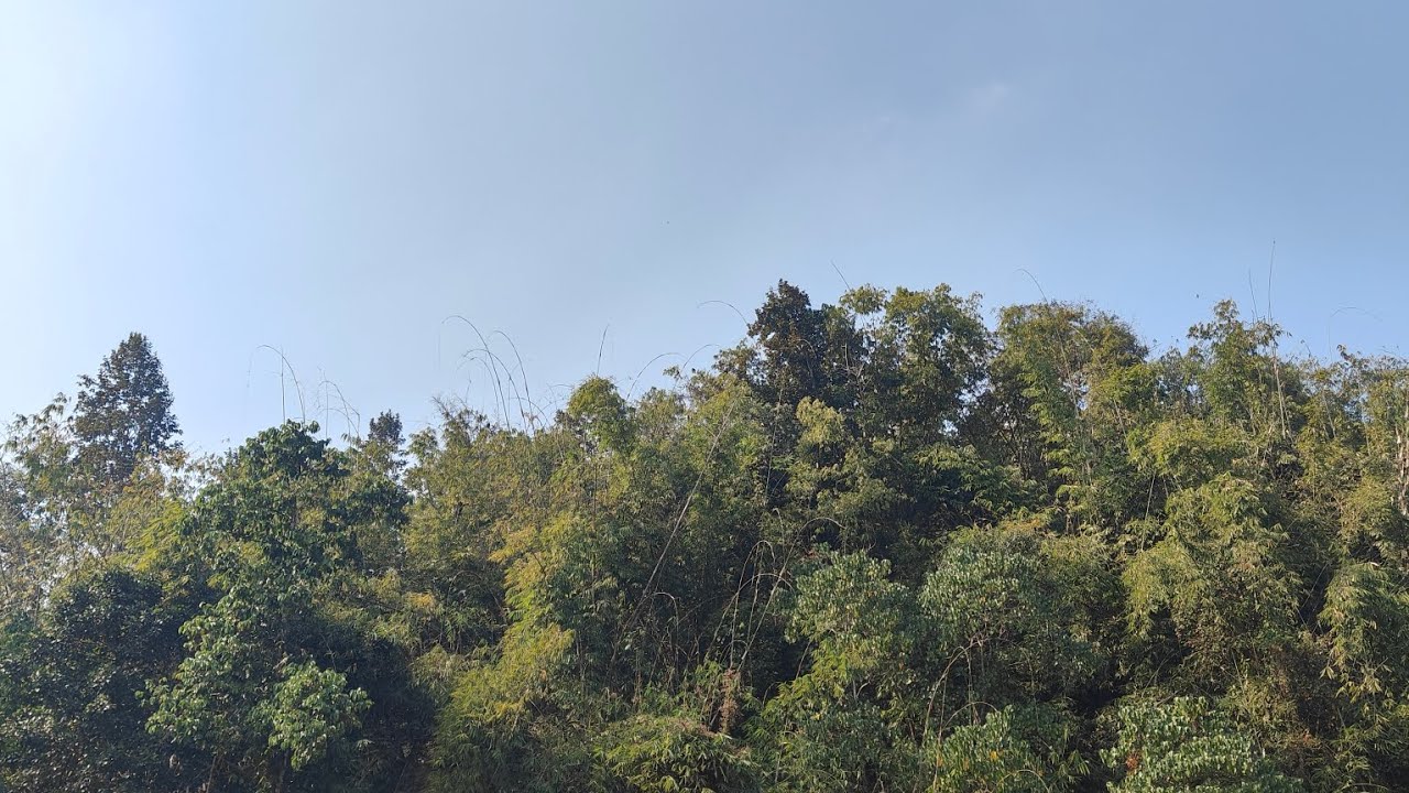 Organisms and Population | NCERT Based | Most important chapter| short video lacture 