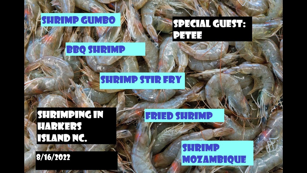Shrimping with a cast net  - - Harkers Island, NC.