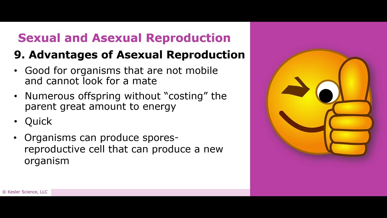 Sexual and Asexual Reproduction Video Notes