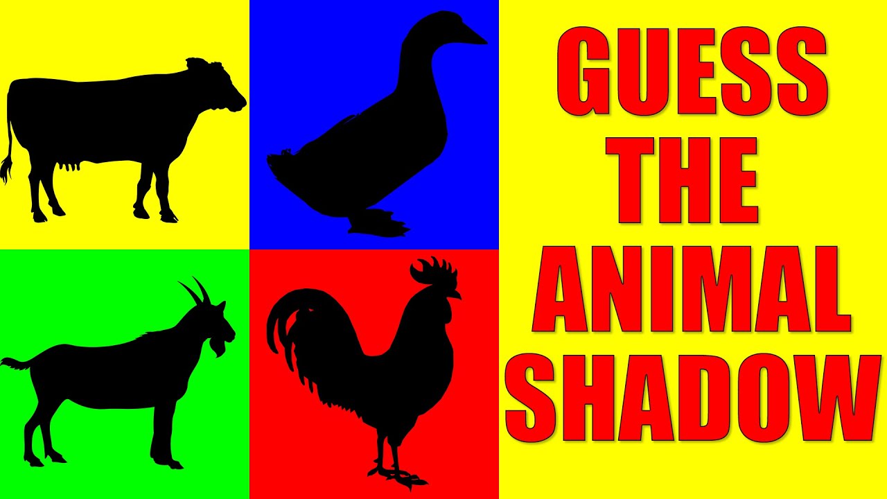 Guess the Farm Animal from Their Shadow | Quiz Game for Kids, Preschoolers and Kindergarten