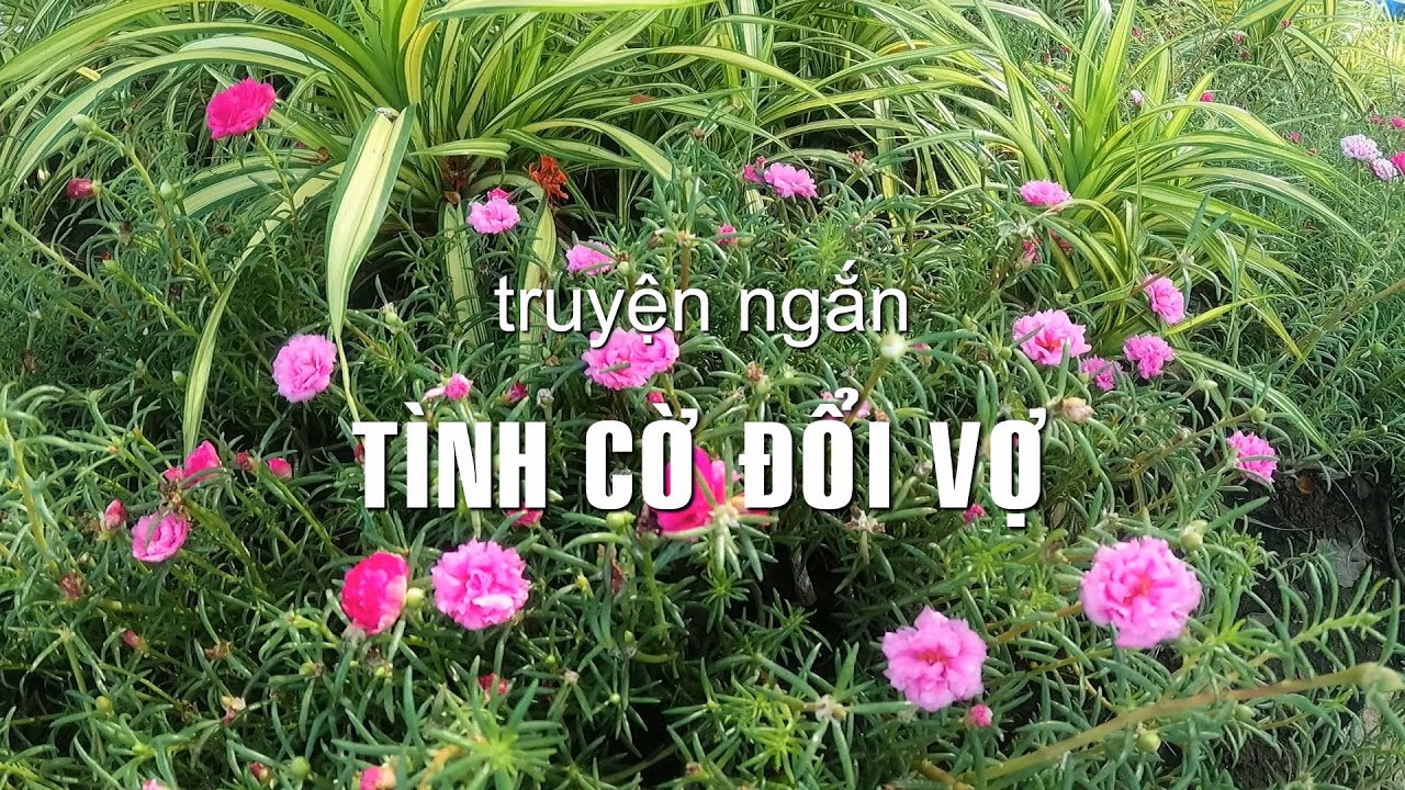 Tình cờ đổi vợ | Truyện ngắn Sáng tác