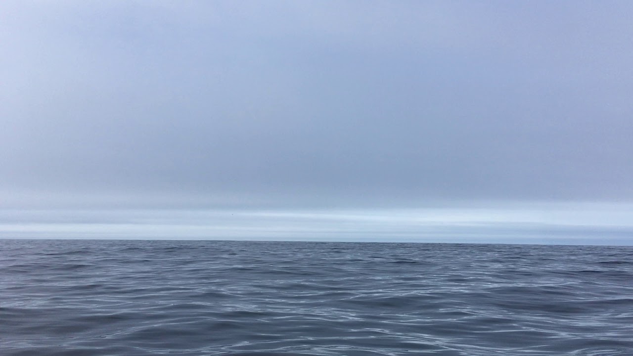 3 minute Nature Meditation: Adrift at sea