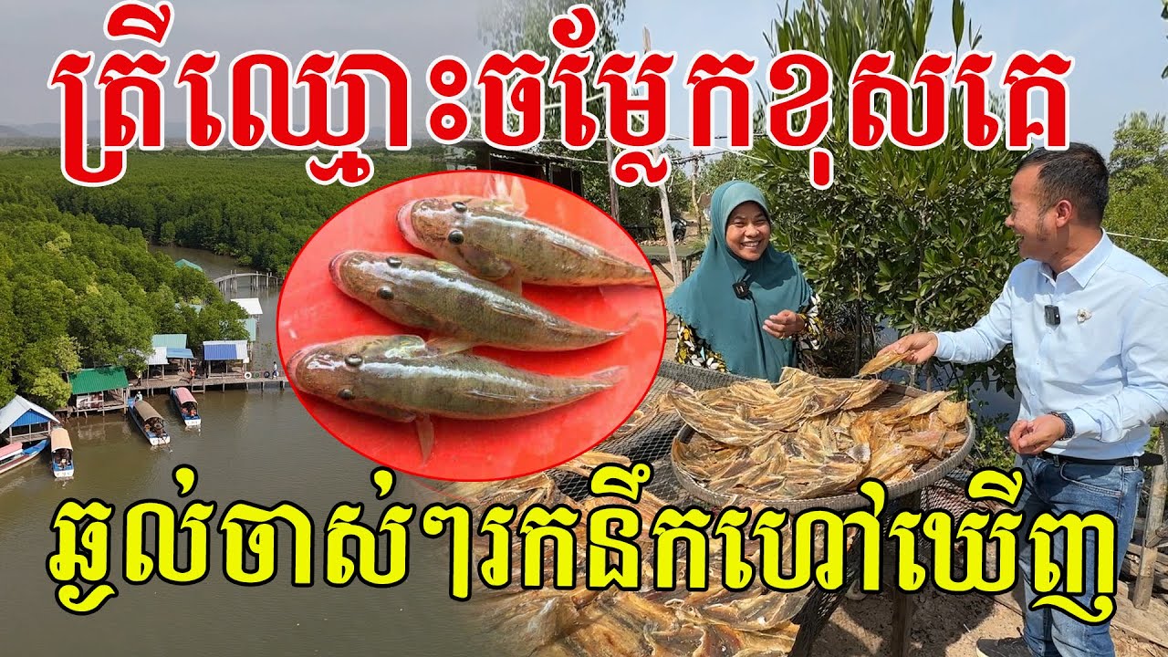 ត្រីនេះឈ្មោះប្លែកខុសគេ សូមសរសើរចាស់ៗគេរកនឹកដាក់ឈ្មោះឃើញ