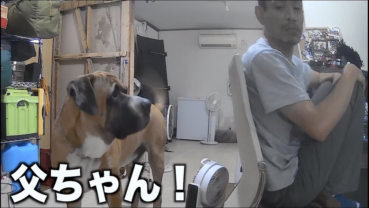 何かを訴えてきたのだが・・