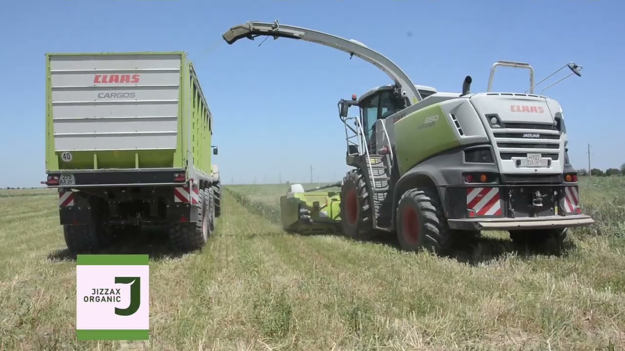 Jizzax Organic taqdimot filmi