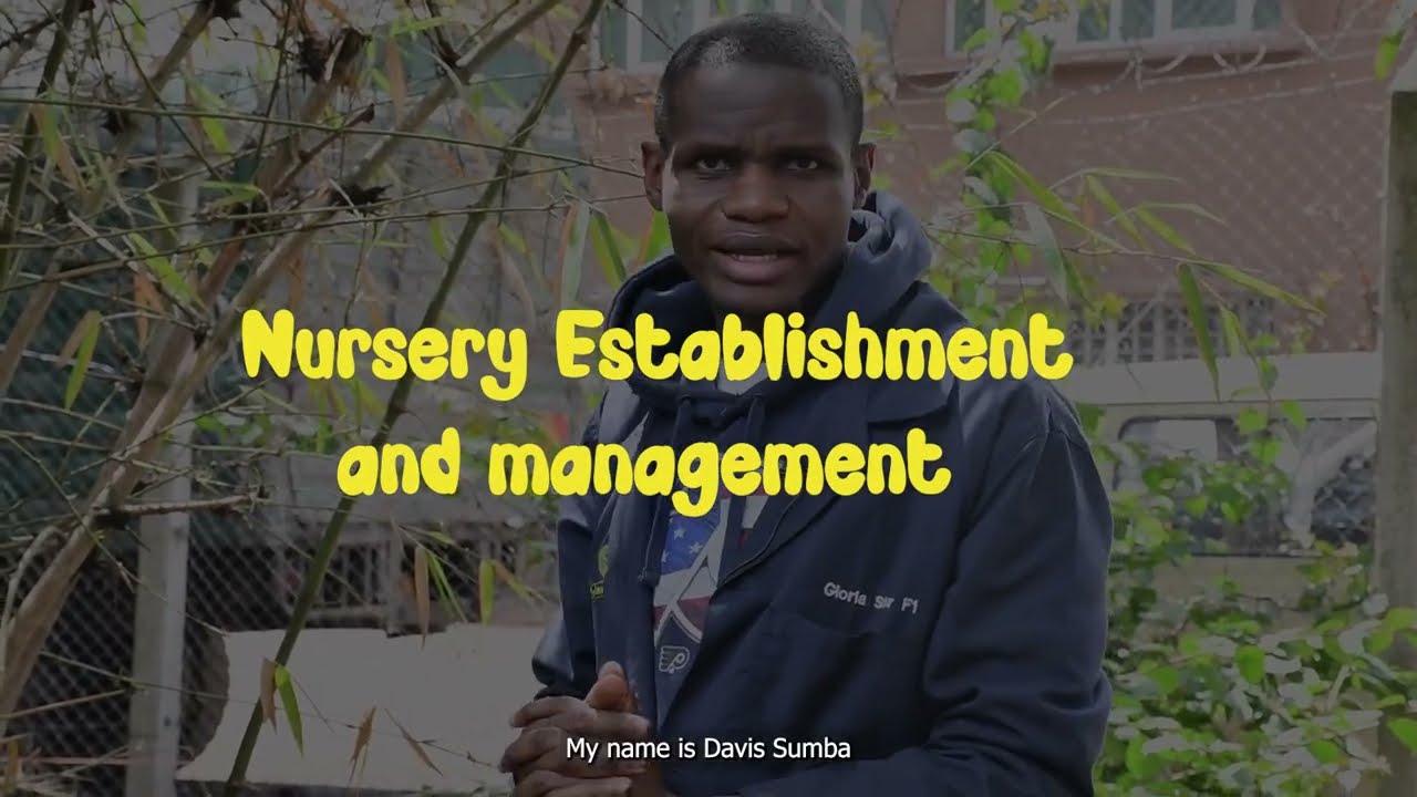 Nursery Establishment & Management part 2-Simlaw Seeds