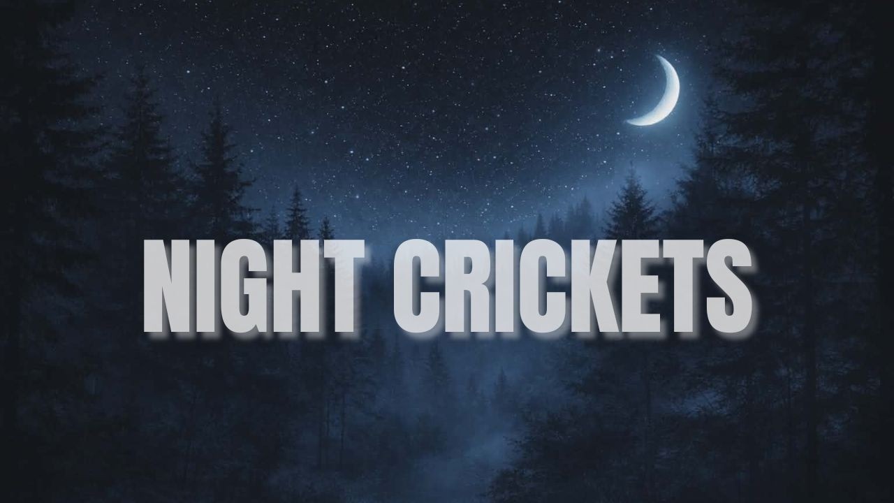 Night Crickets 💤 Insomnia Relief - 8 Hours Black Screen