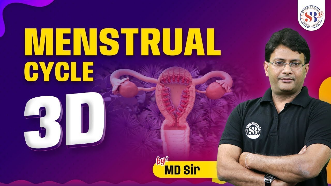 MENSTRUAL CYCLE CLASS 12 | IN 3D ANIMATION | MENSTRUAL CYCLE DETAILED EXPLANATION | BY MD SIR