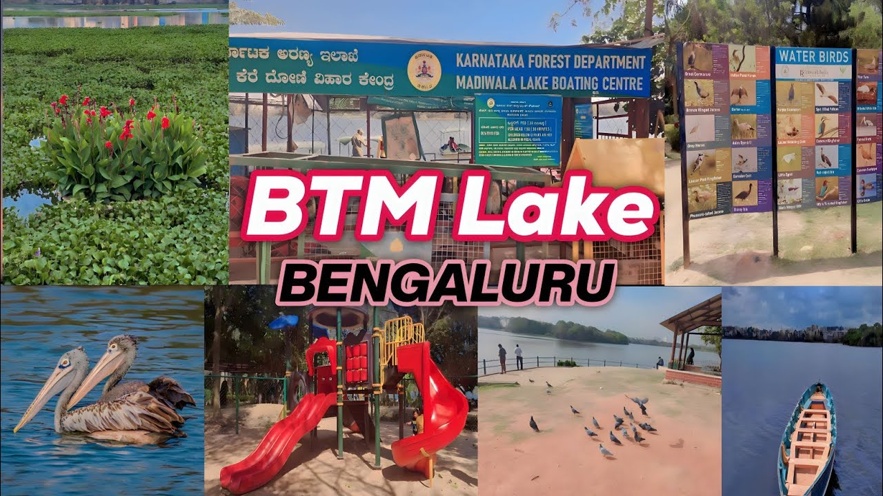Btm Lake Bangalore|BTM lake| Madiwala Lake Bangalore|Madiwala lake | Bangalore City|BTM Lake Boating