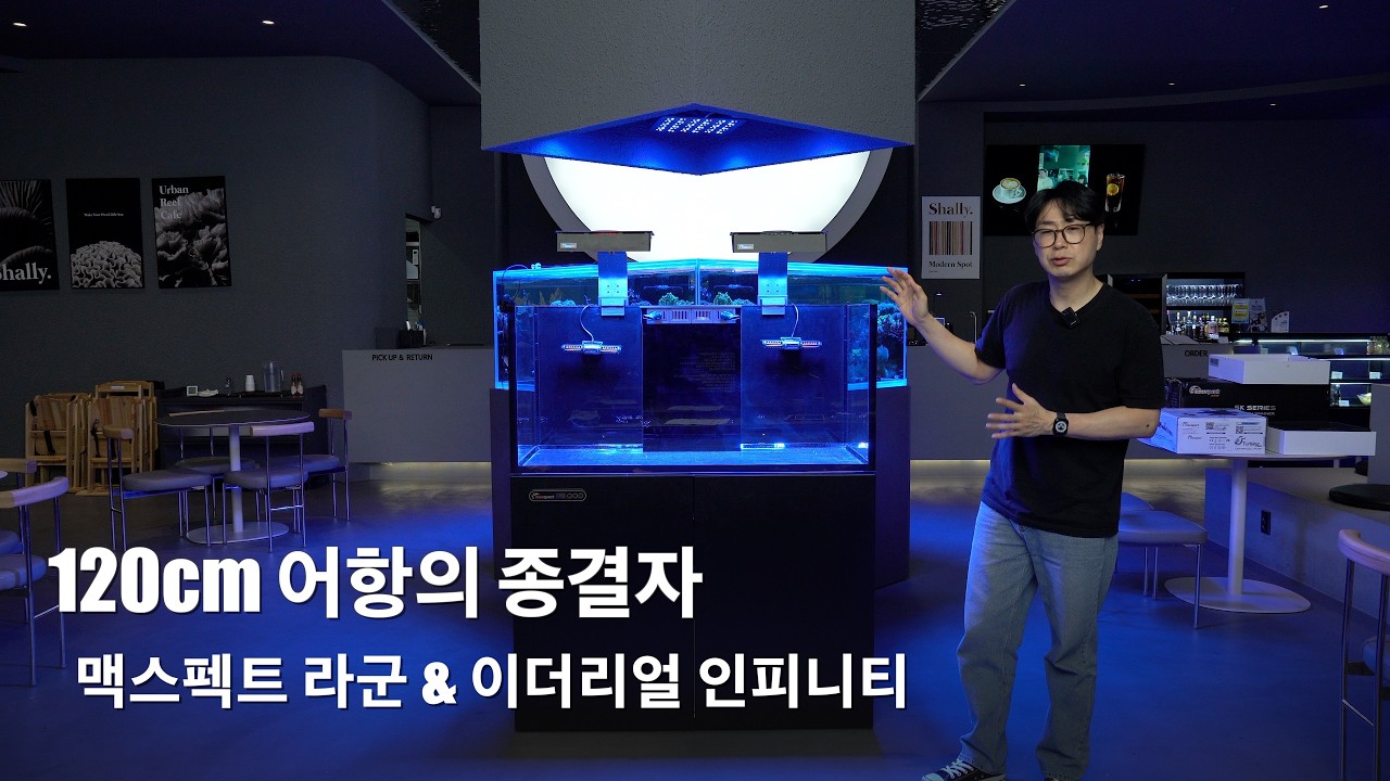 물생활 끝판왕 어항 등장? 맥스펙트 라군 LS-120 & 이더리얼 인피니티 인스톨 및 기능 총정리
