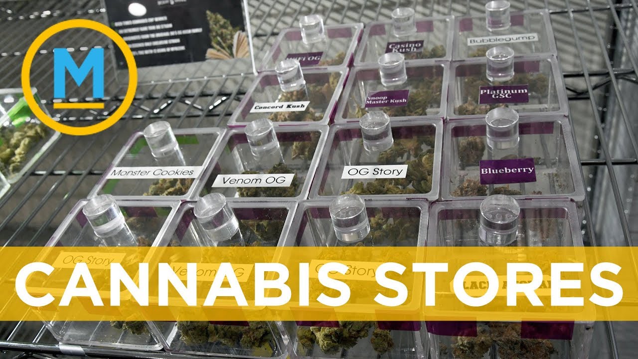 Ontario announces rules for cannabis stores | Your Morning