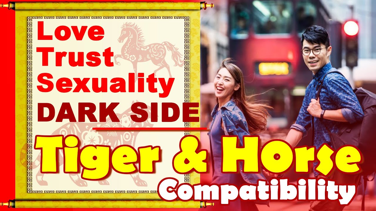 Tiger and Horse Compatibility in Love, Life, Trust, Intimacy | Tiger and Horse Chinese Zodiac Compat