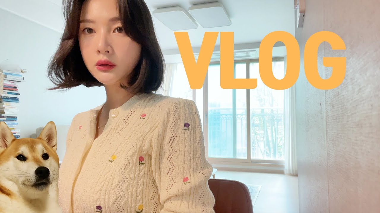 [vlog]일상 브이로그(치킨만 몇번을 먹는거야/퇴근 후 남은 떡볶이와 치킨../엄마아들결혼식/자담 치킨…쓰리라차치킨/깐부치킨…/비오는날 설렁탕/닭똥집에 맥주/시바견 택이)