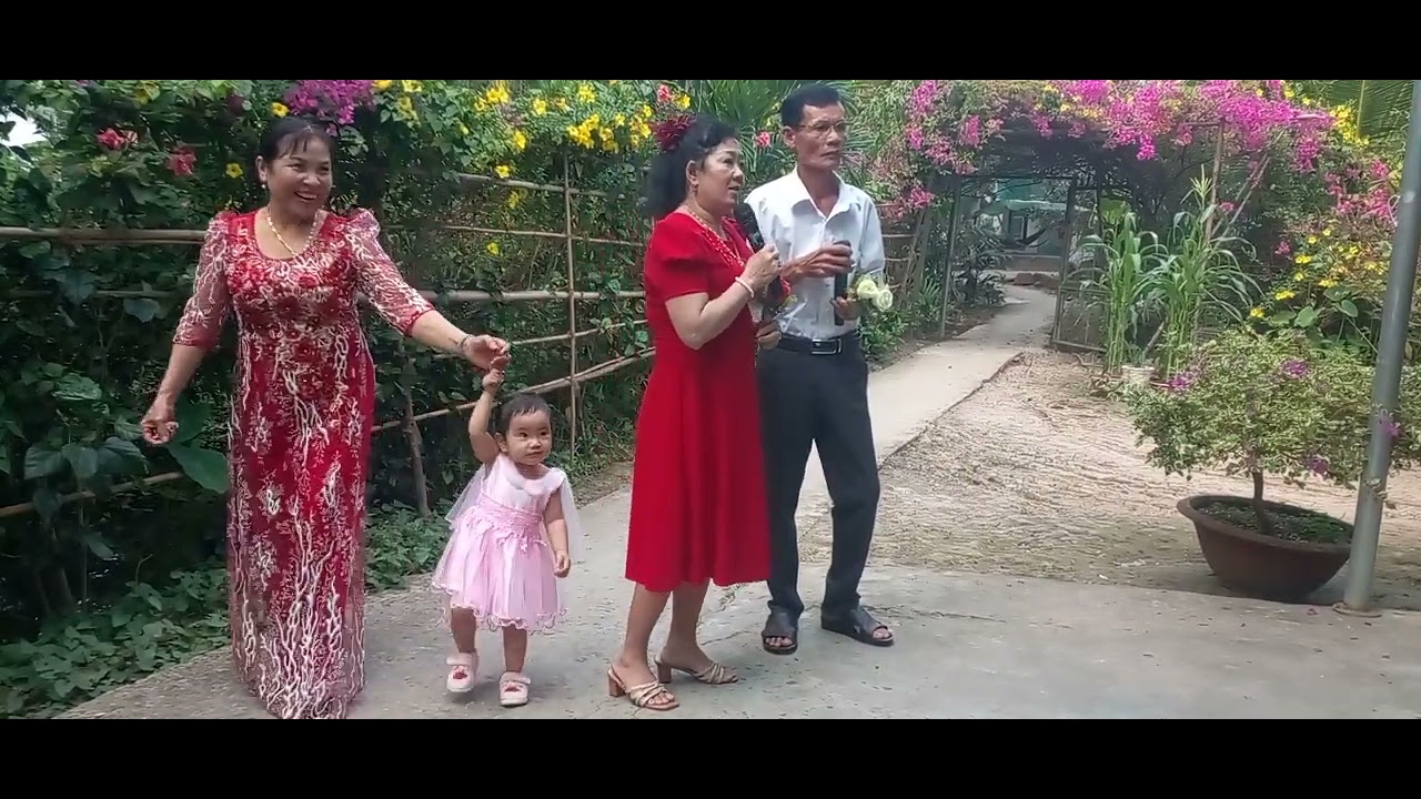 Tân cổ bánh bông lan