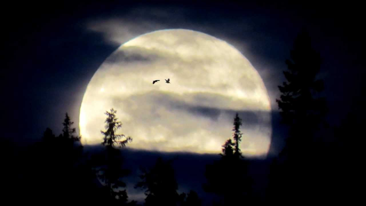 moonlight sonata