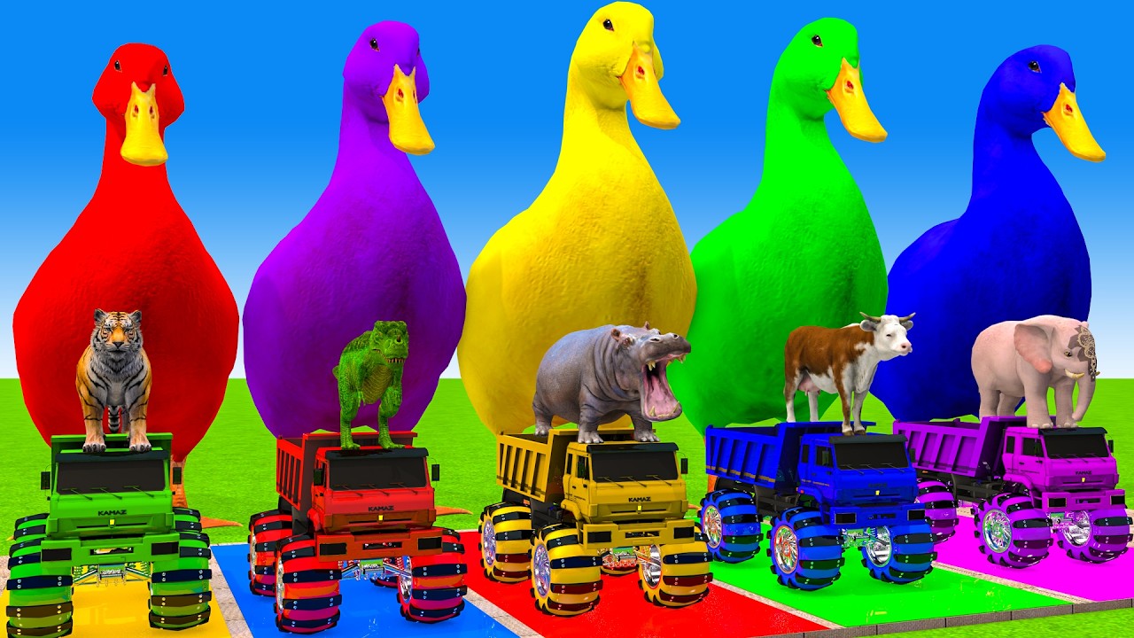 Long Slide Game With Cow Elephant Gorilla Hippopotamus Tiger 3d Animal Game Funny 3d Animals