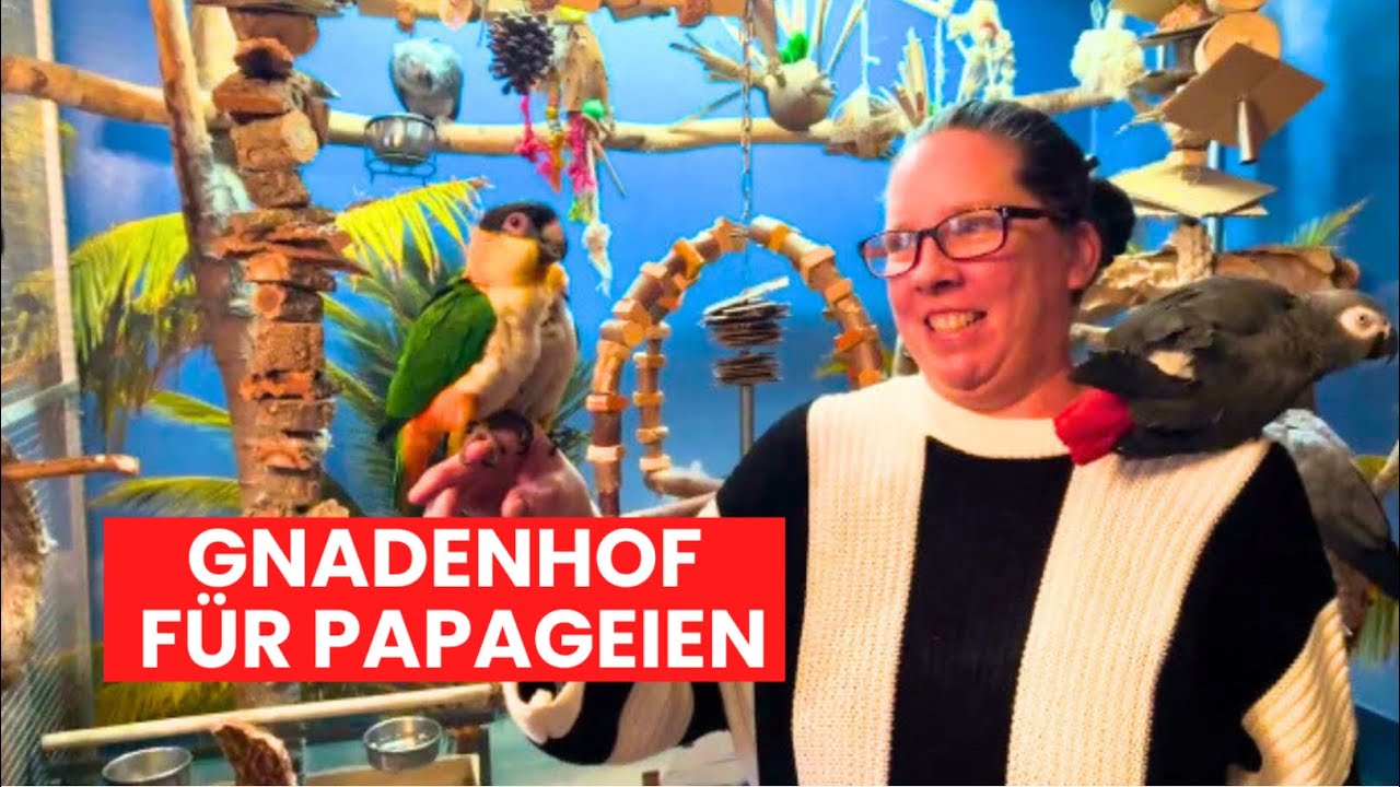 Toll das es solche Menschen gibt!