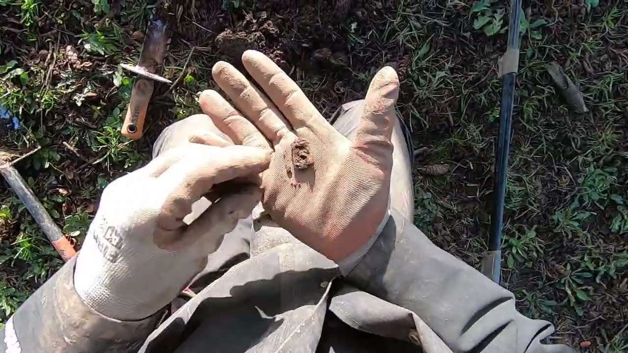 LIVE DIG ACTION!! XP Deus II with high audio filter working superb in the modern trash.