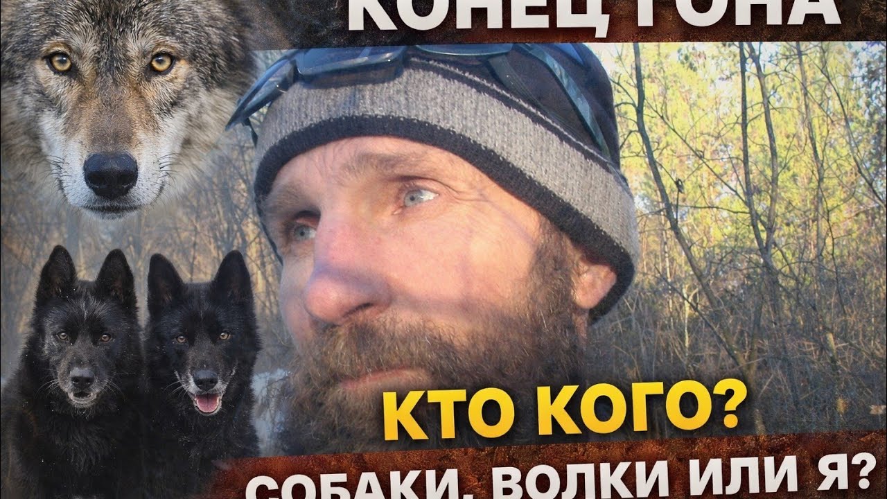 Конец собачьего ГОНА.