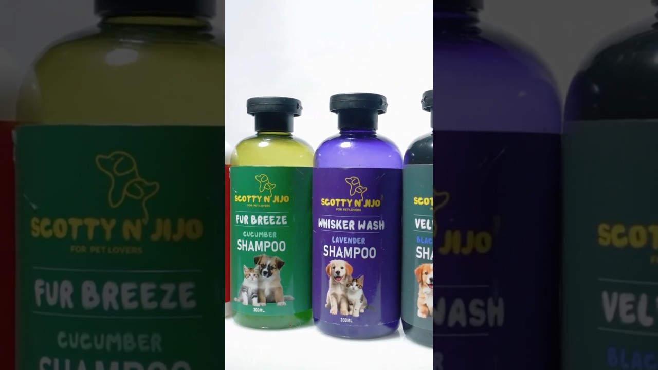 NO MORE STINKY DOGS! 🐶💨 The Ultimate Shampoo Routine
