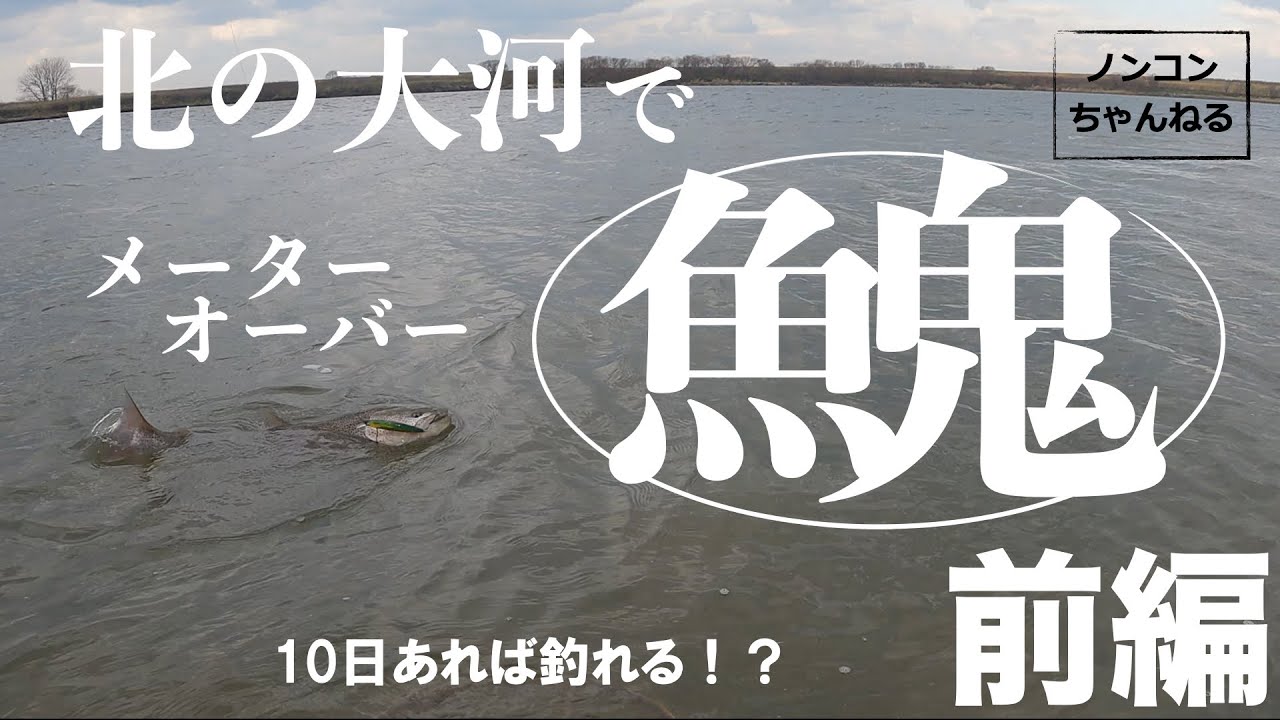 【メーターイトウ】北の大河で釣りしたら10日あれば釣れる！？【前編】