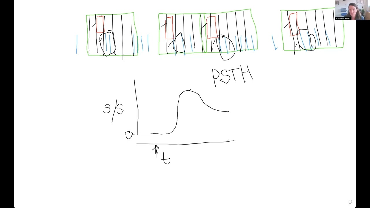 Calculating a peri stimulus time histogram (PSTH)