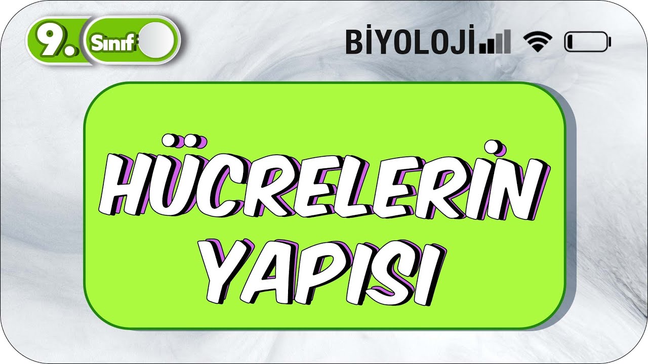 Hücrelerin Yapısı  | Öğrenme Garantili Özet Anlatım  #2023
